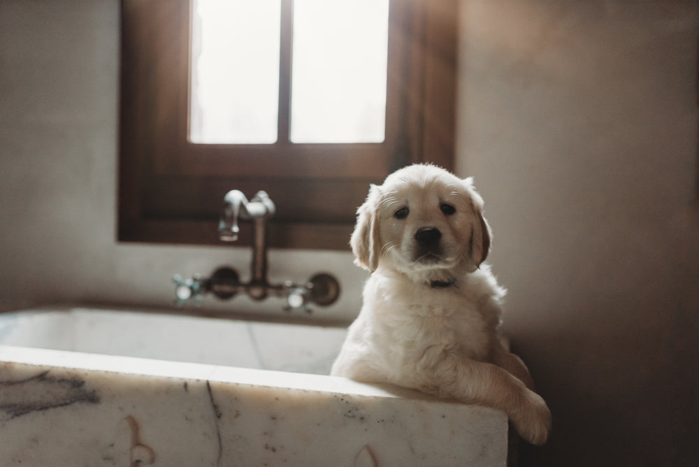 8 Tasks that are Easiest in a Farmhouse Sink